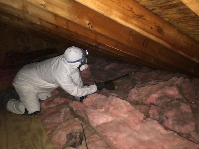 "Mold growth in attic due to poor ventilation and moisture buildup."
