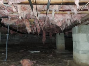 "Moisture buildup in crawlspace."